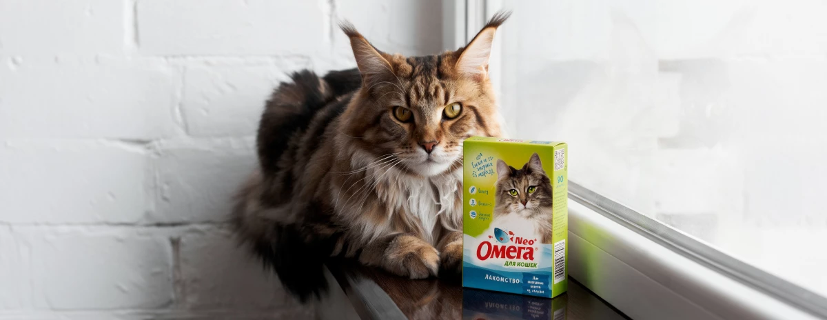 баннер Почему кошка отрыгивает шерсть 3.png