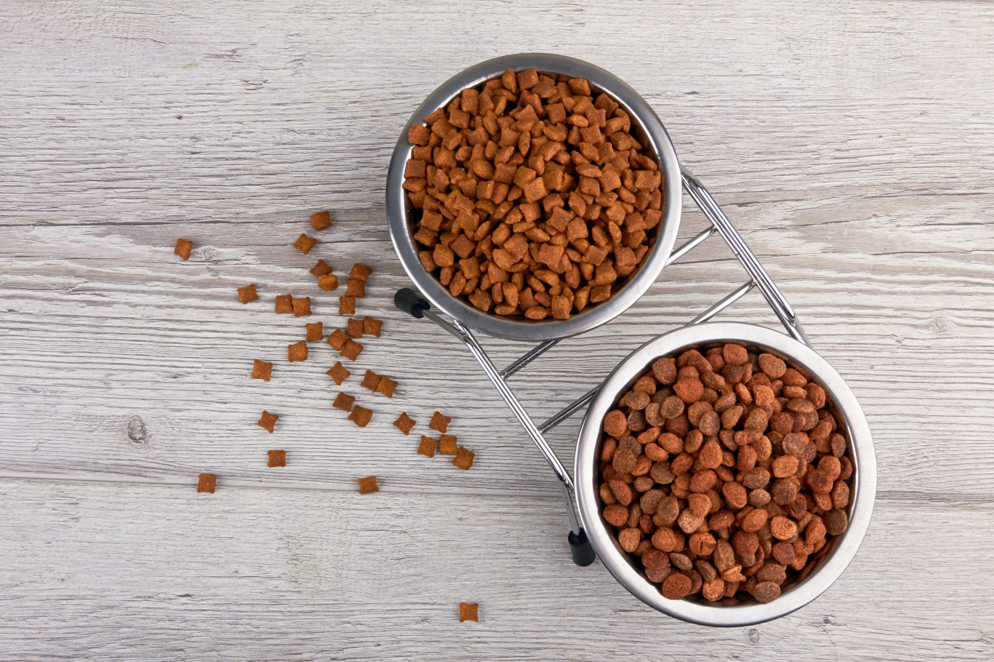 dry-pet-food.jpg