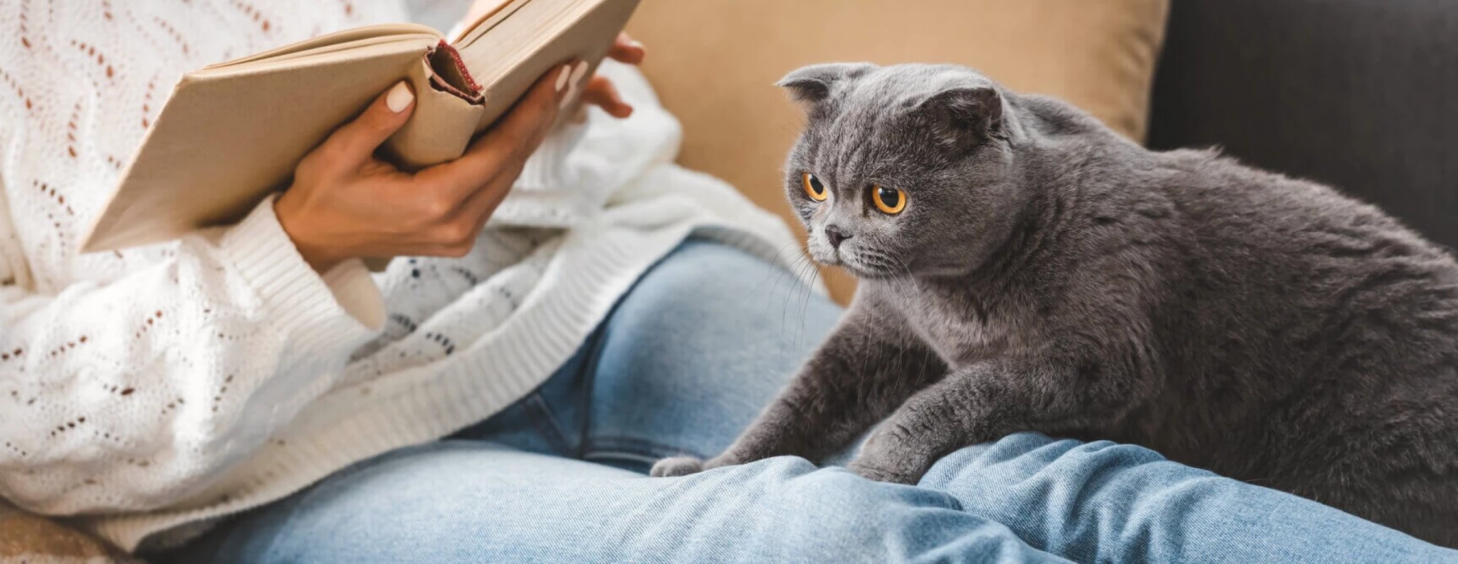 баннер Нужно ли кастрировать кота 2.png баннер Нужно ли кастрировать кота 2.png