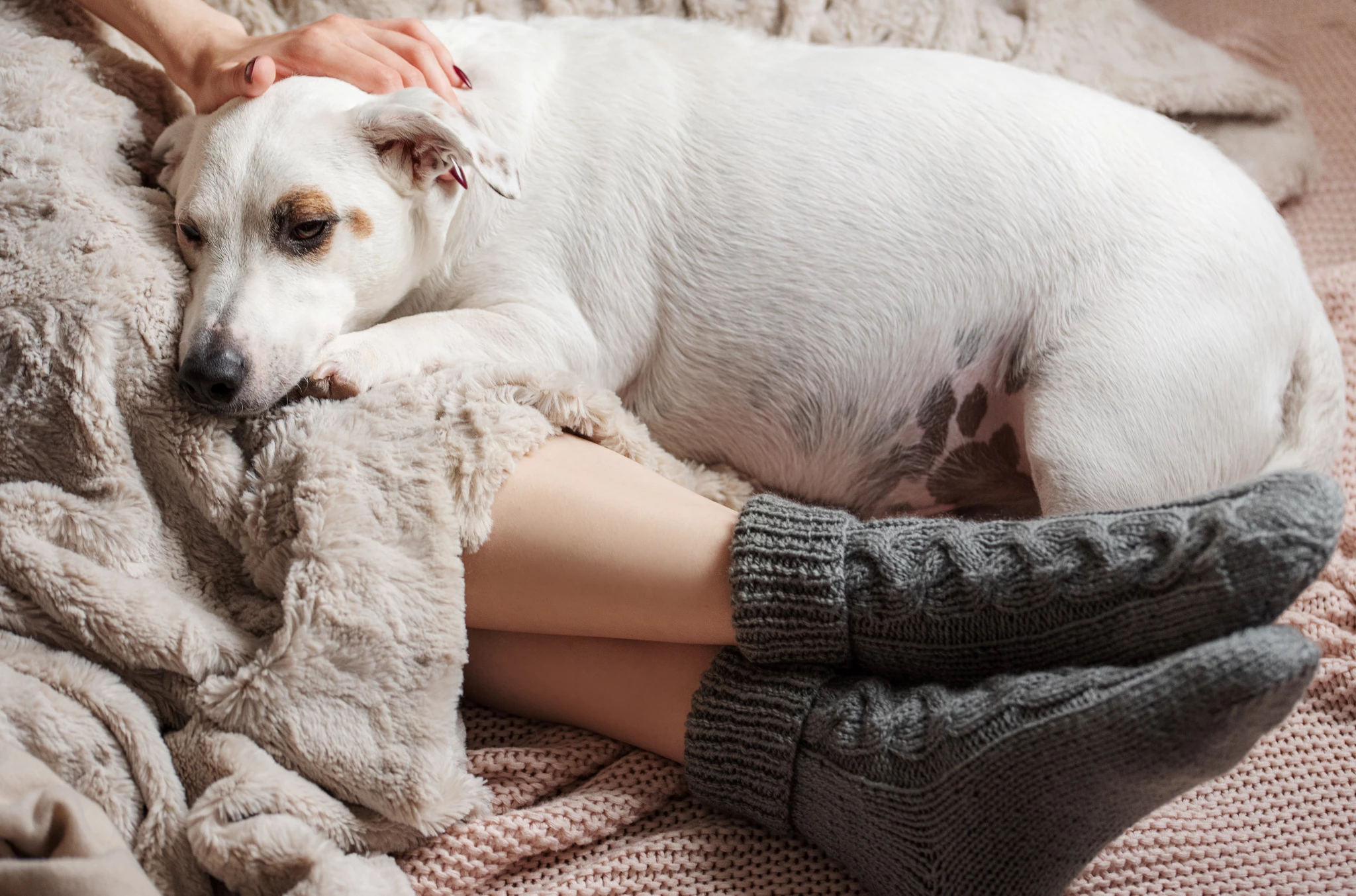 legs-young-girl-cozy-knitted-socks.jpg